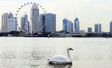 swan-robot-singapore