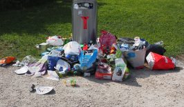 muell-littering-abfallmanagement