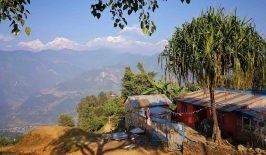 nepal-homestay