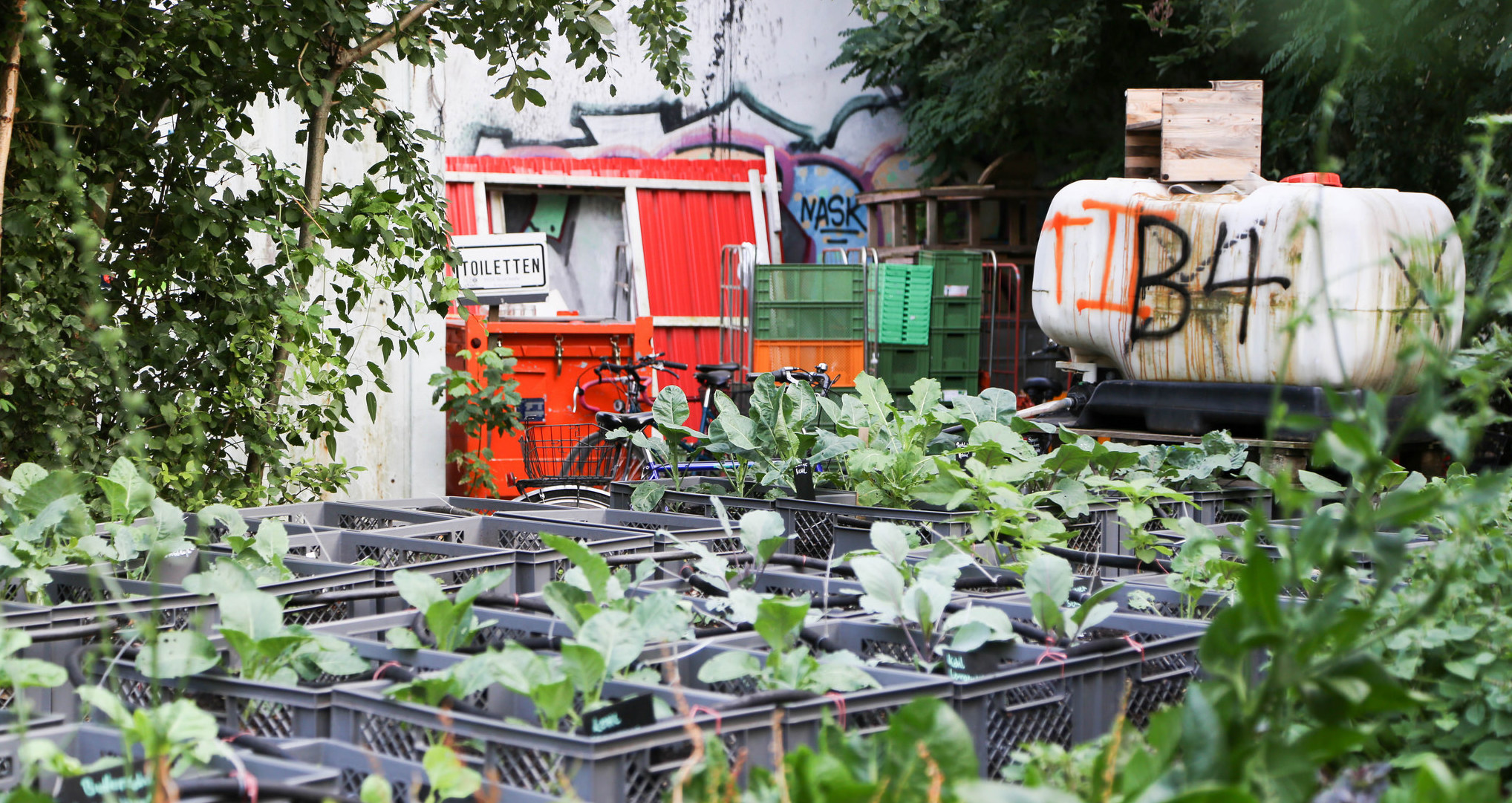 urban_gardening_anpflanzen_stadtgarten
