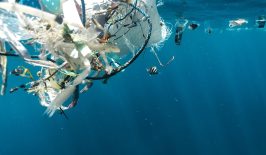 citizen-science-ocean-plastic