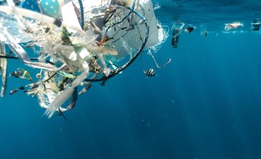 citizen-science-ocean-plastic