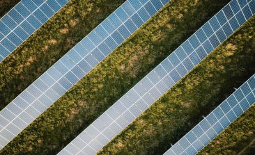 aerial view of solar panels in a field
