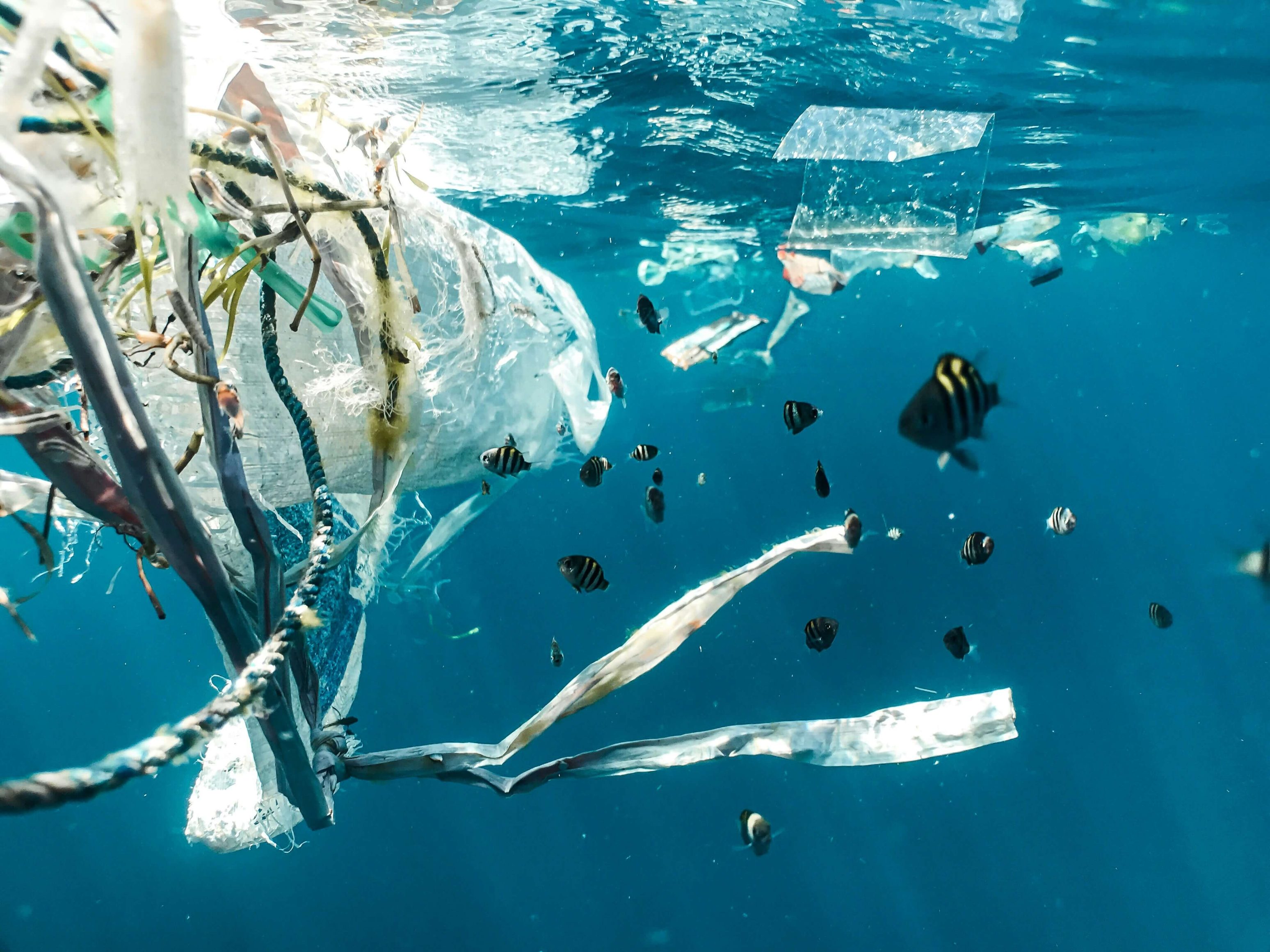 plastic waste in ocean